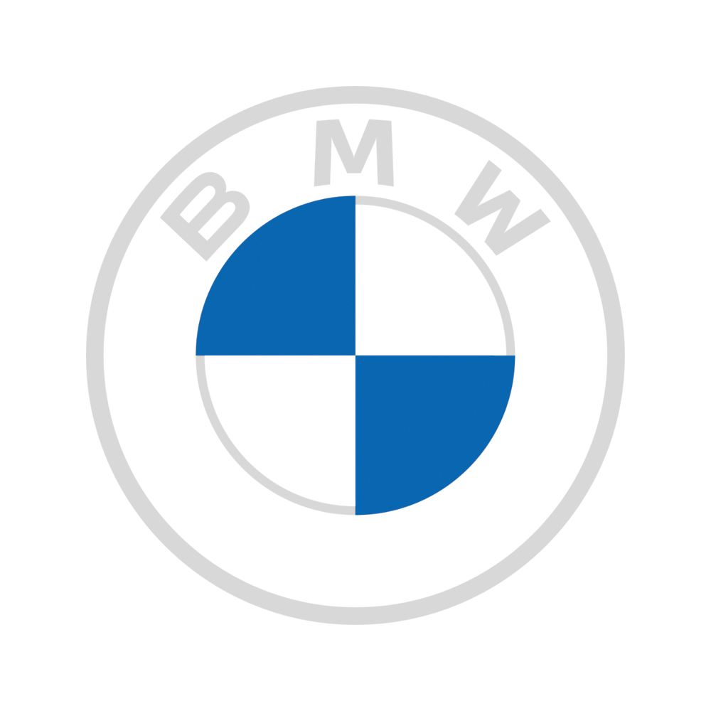 Abdeckplane passend für BMW M6 für Innen mit Spiegeltaschen Silbergrau NEU