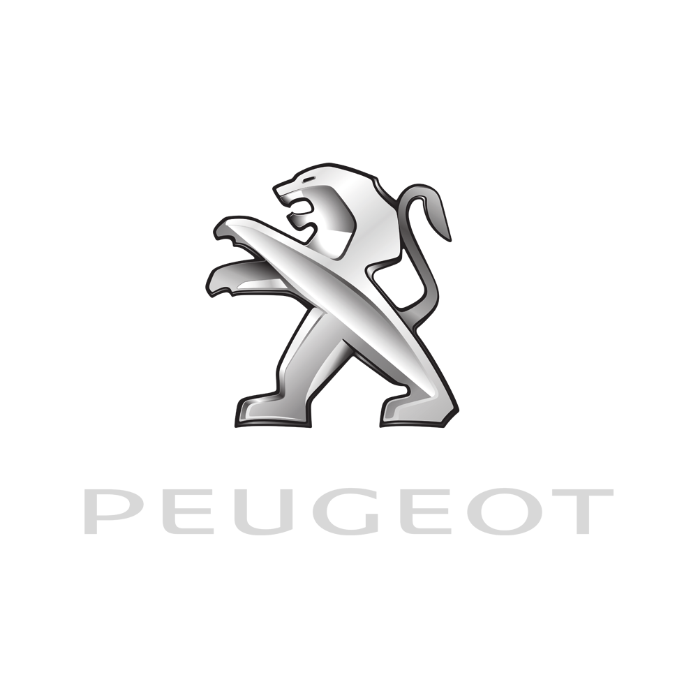 Autoabdeckung Peugeot, für Innen- und Außenbereich
