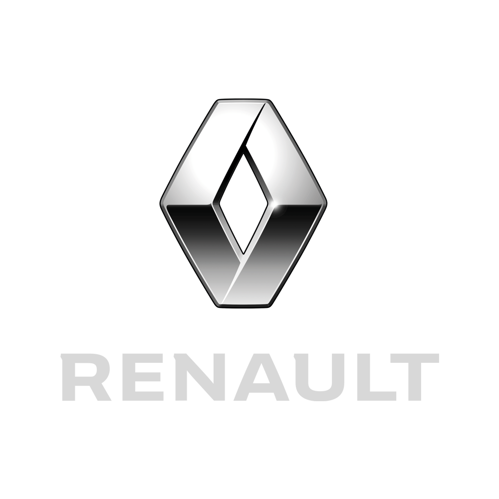 Autoabdeckung Renault, für Innen- und Außenbereich